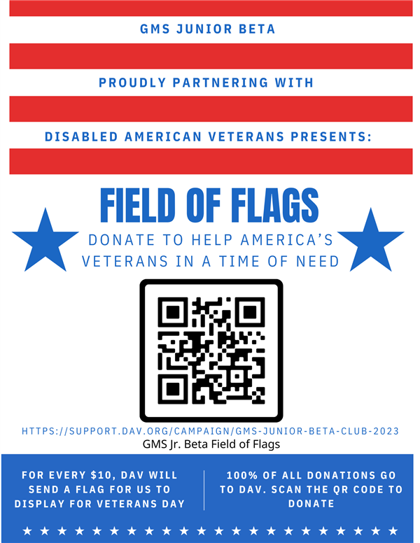 Field of Flags
